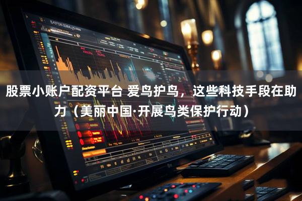 股票小账户配资平台 爱鸟护鸟，这些科技手段在助力（美丽中国·开展鸟类保护行动）
