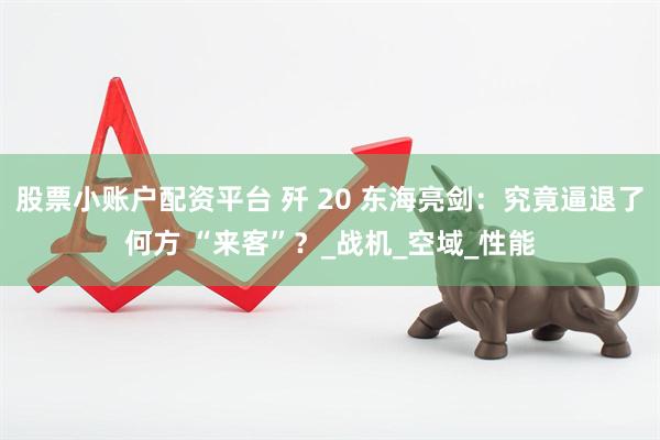 股票小账户配资平台 歼 20 东海亮剑：究竟逼退了何方 “来客”？_战机_空域_性能