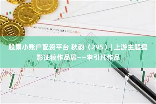 股票小账户配资平台 秋韵（295）| 上游主题摄影征稿作品展——李引凡作品